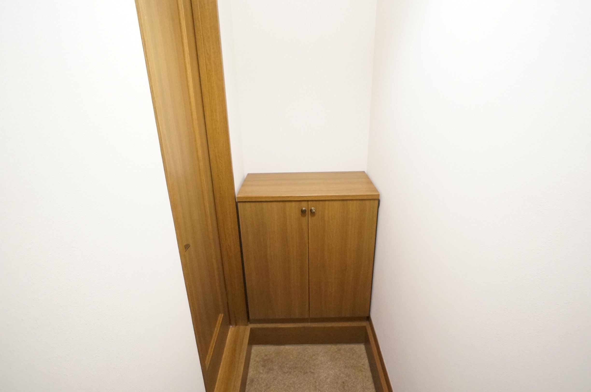 玄関　シューズボックスあります