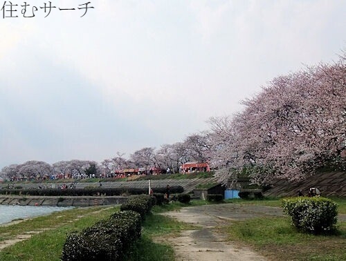 公園　海蔵川緑地（公園）まで2017m