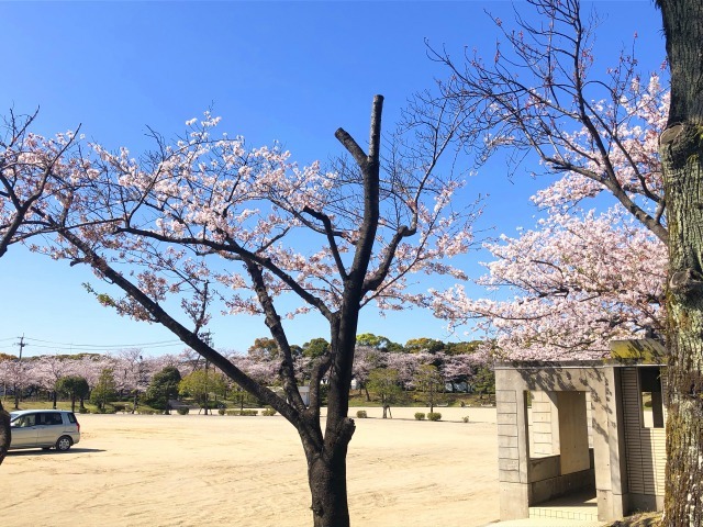 公園　平和市民公園（公園）まで1433m
