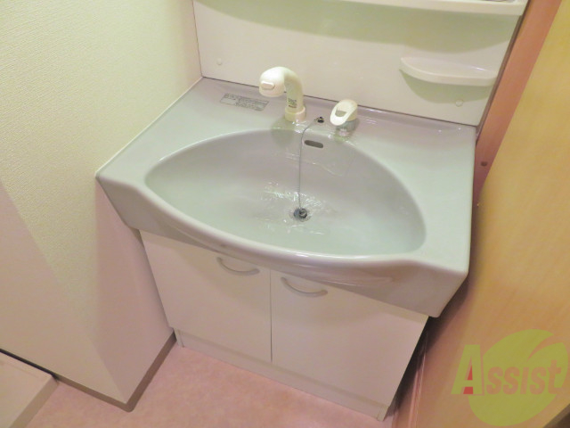 洗面設備　洗面台は、シャワー付きなので便利で良いですねー