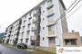 建部駅より徒歩4分 築46年6ヶ月 5階建の賃貸物件