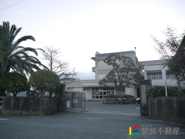 小学校　国分小学校（小学校）まで1500m