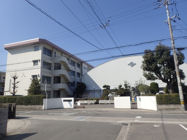 小学校　松山市立石井小学校（小学校）まで938m