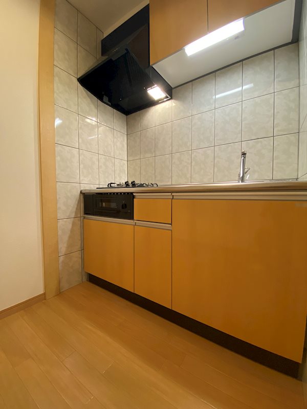 キッチン　※別号室の写真です