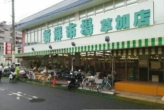 スーパー　新鮮市場草加店（スーパー）まで800m