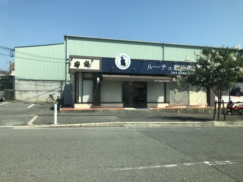 病院　ルーチェ動物病院（病院）まで1919m