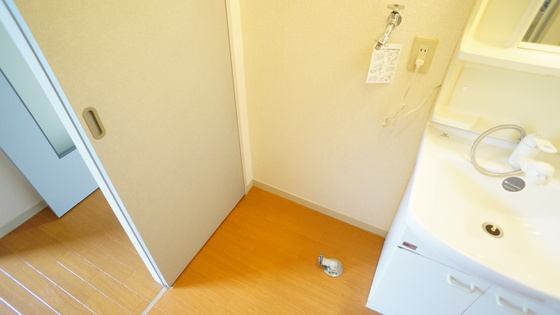 その他部屋・スペース　室内洗濯機置き場