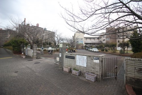 小学校　長浦小学校（小学校）まで255m