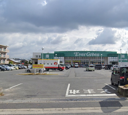ドラックストア　エバグリーン 岸和田久米田店（ドラッグストア）まで913m