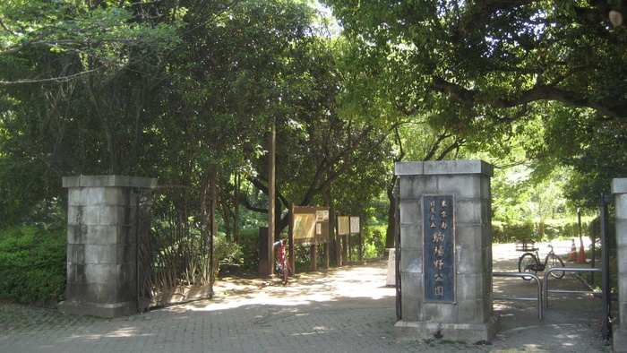 公園　公園（公園）まで500m