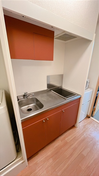 キッチン　他号室のお写真です