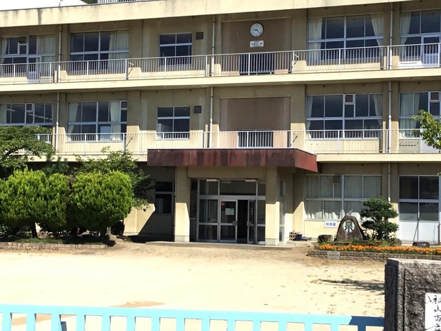 その他　泉小学校 0.3km