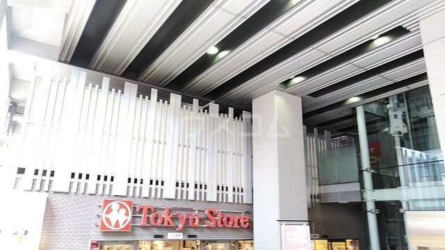 スーパー　学芸大学 東急ストア（スーパー）まで876m