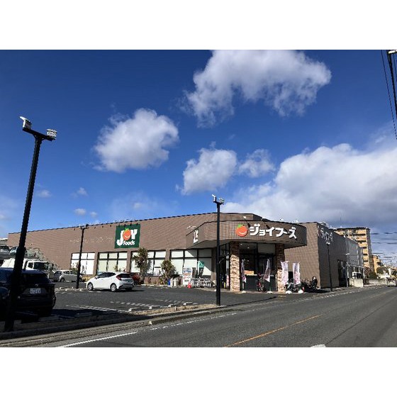 スーパー　ジョイフーズ前橋南店（スーパー）まで713m