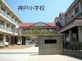 小学校　神戸小学校（小学校）まで337m