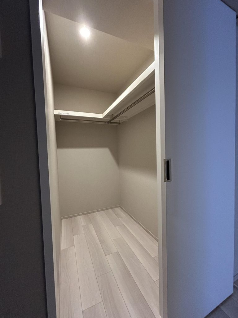 収納　洋室（約5.3帖）のウォークインクローゼット