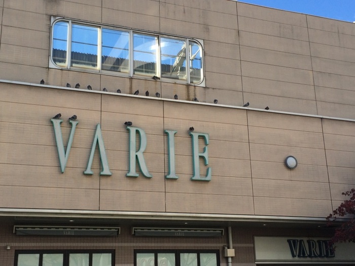 ショッピングセンター　草加VARIE（ショッピングセンター）まで339m