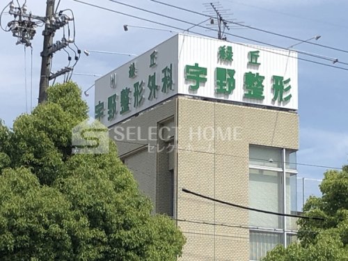 病院　宇野整形外科（病院）まで315m