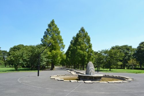 その他　舎人公園（その他）まで1589m