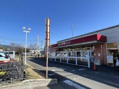 スーパー　ローソンストア100 秦野渋沢店（スーパー）まで244m