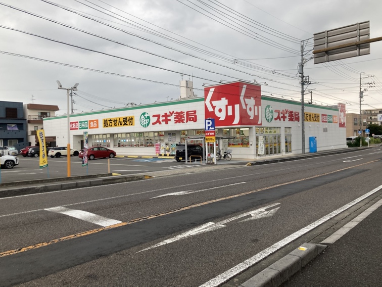 ドラックストア　スギ薬局岐阜城東店（ドラッグストア）まで712m