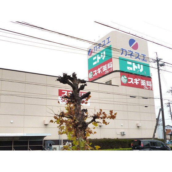 ドラックストア　スギ薬局碧南幸店（ドラッグストア）まで459m