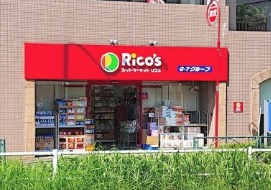 スーパー　リコス関口1丁目店（スーパー）まで290m