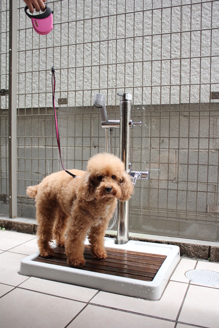 その他共有部分　ペット足洗い場