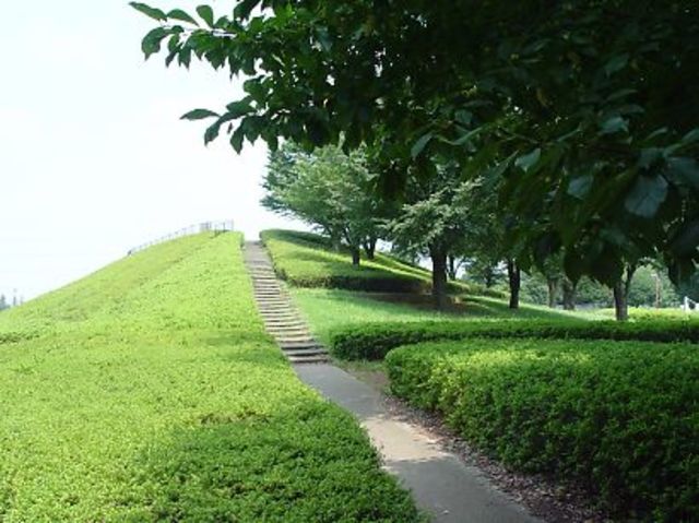 その他　小金井公園（その他）まで1089m