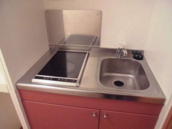 キッチン　※別号室の写真です