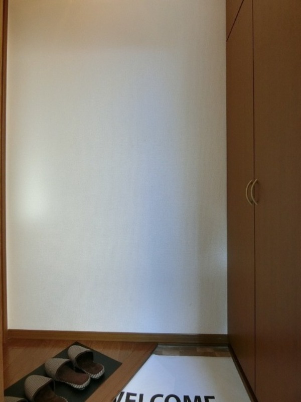 玄関　図面と現状に相違がある場合には現状を優先