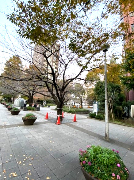 公園　中央区立桜川公園（公園）まで345m