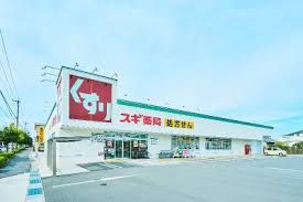 ドラックストア　スギドラッグ 長森店（ドラッグストア）まで790m