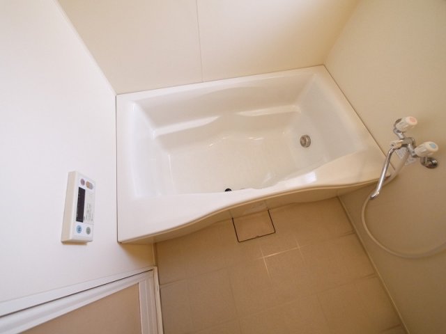 バス・シャワールーム　落ち着いた空間のお風呂です