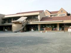 幼稚園・保育園　なかよし幼稚園（幼稚園・保育園）まで584m