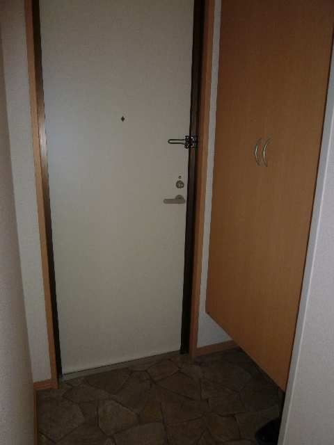 玄関　＊同型タイプ室内写真です。