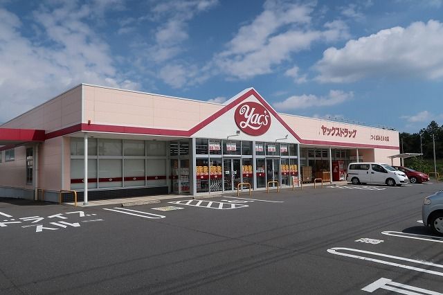 ドラックストア　ヤックスドラッグみどりの店（ドラッグストア）まで500m