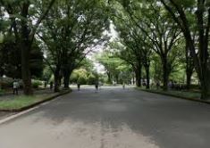 公園　都立駒沢公園東口（公園）まで1070m