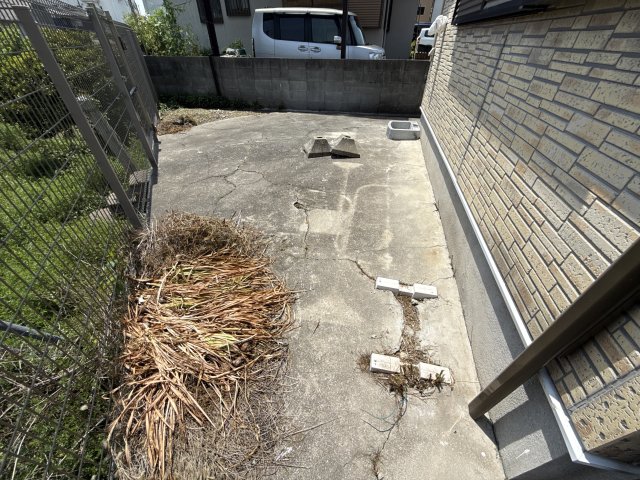 庭