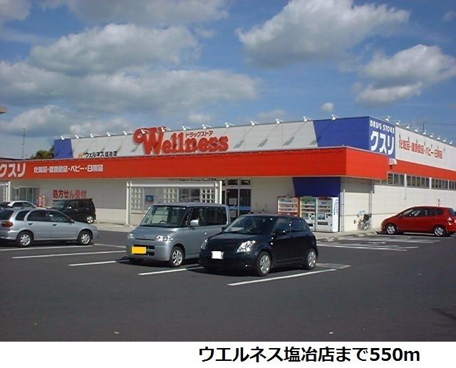 ドラックストア　ウエルネス塩冶店（ドラッグストア）まで550m