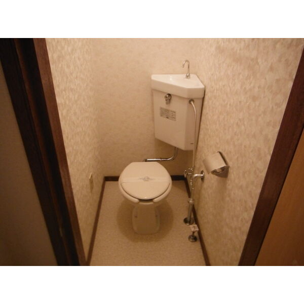 トイレ　トイレも気になるポイント