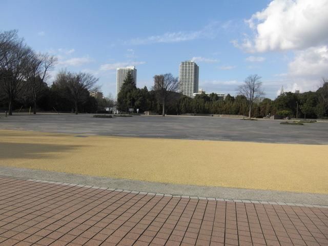 公園　木場親水公園（公園）まで638m