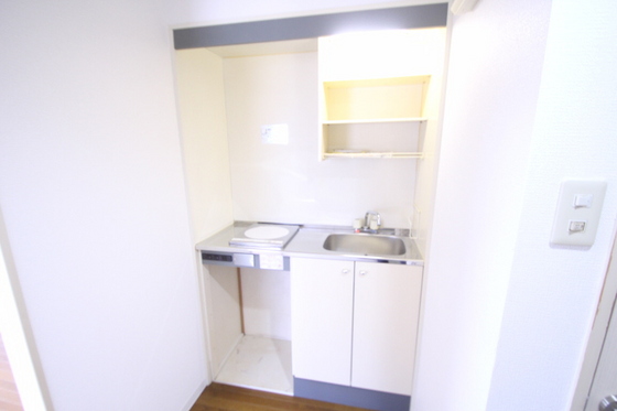キッチン　※別号室の写真です