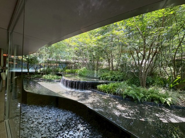 庭