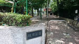 公園　根岸公園（公園）まで129m