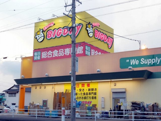 その他　エブリィビッグデー掛川店まで1100m