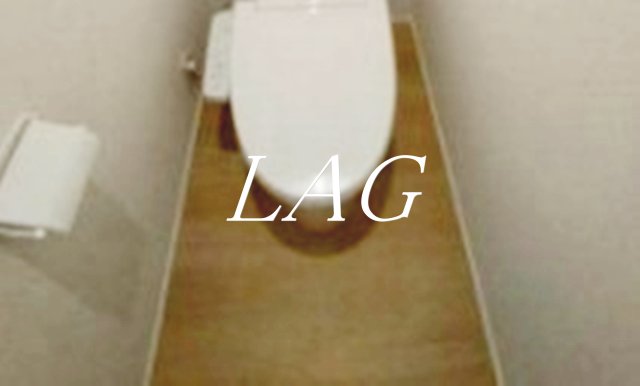 トイレ　トイレです。（同仕様です。）