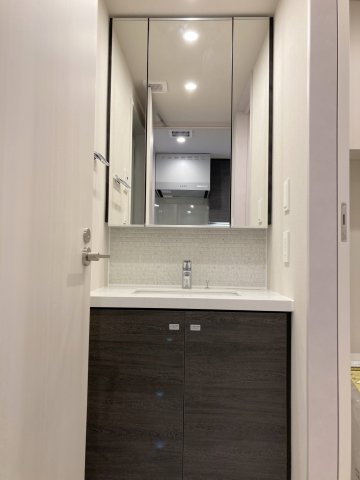 洗面設備　ザ・パークハビオ荏原中延駅前 ※反転タイプ