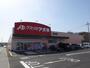 ドラックストア　クスリノアオキ蟹江中央店（ドラッグストア）まで560m