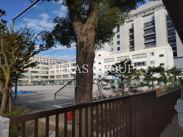 小学校　江東区立南陽小学校（小学校）まで856m